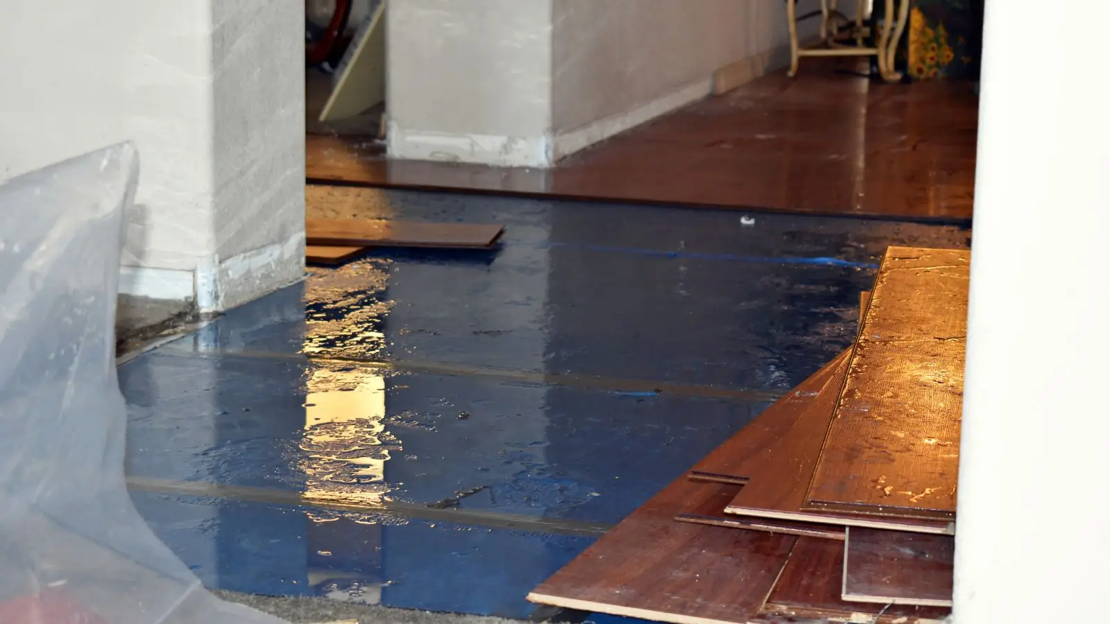 Hardwood floor lifted and wet with plastic sheeting at the edge of the room