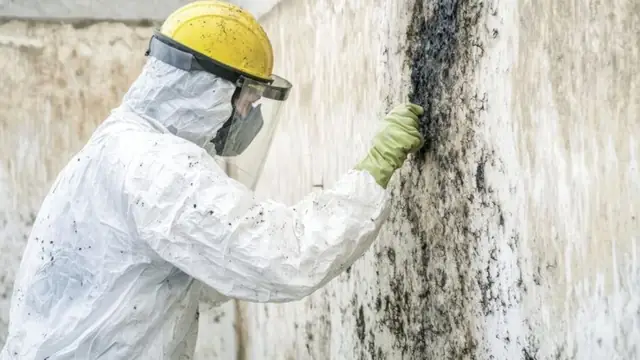 Worker in a face shield and protective suit inspecting a mold-stained wall